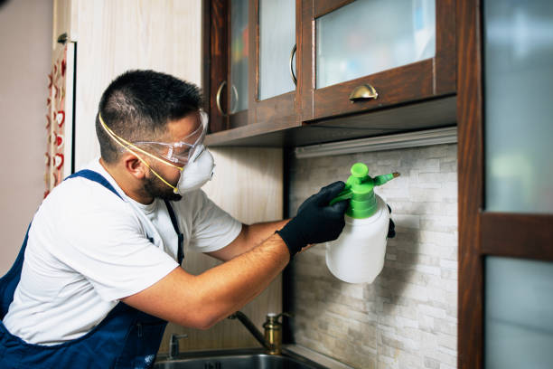 Best Wasp Removal Services  in Point, TX