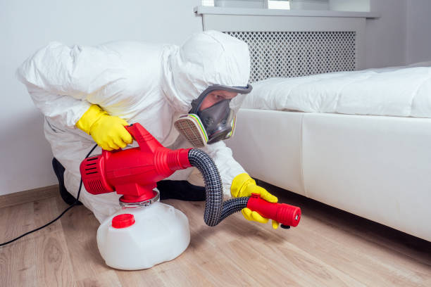 Best Bed Bug Extermination  in Point, TX