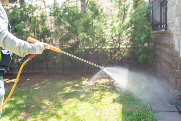 Best Flea Control Services  in Point, TX