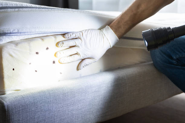 Best Pest Control for Businesses  in Point, TX