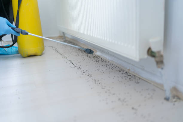 Best Pest Removal Services  in Point, TX