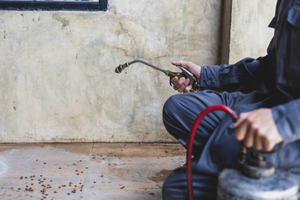 Best Wasp Removal Services  in Point, TX
